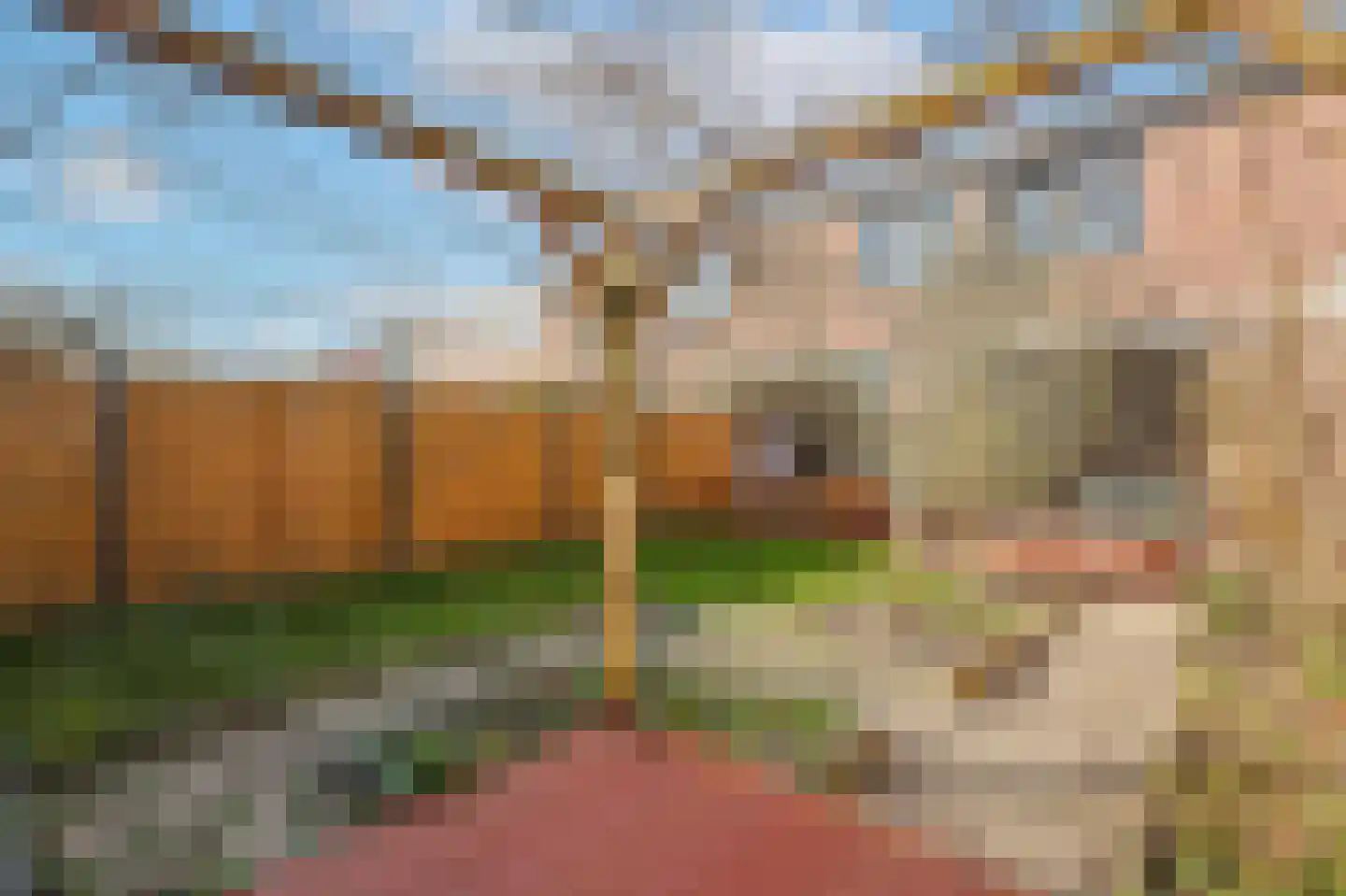 Eschweilerhof 5 Eindhoven thumbnail 24