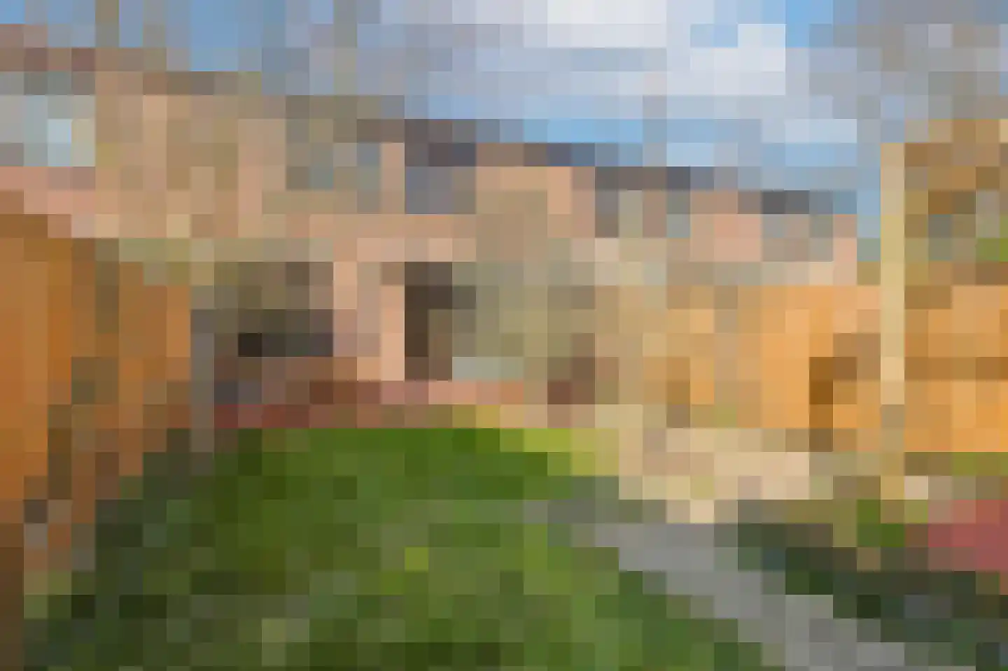 Eschweilerhof 5 Eindhoven thumbnail 25