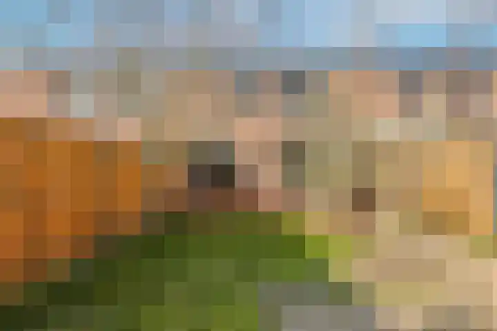 Eschweilerhof 5 Eindhoven thumbnail 26