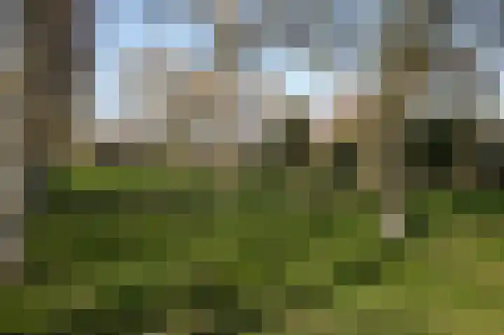 Eschweilerhof 5 Eindhoven thumbnail 41