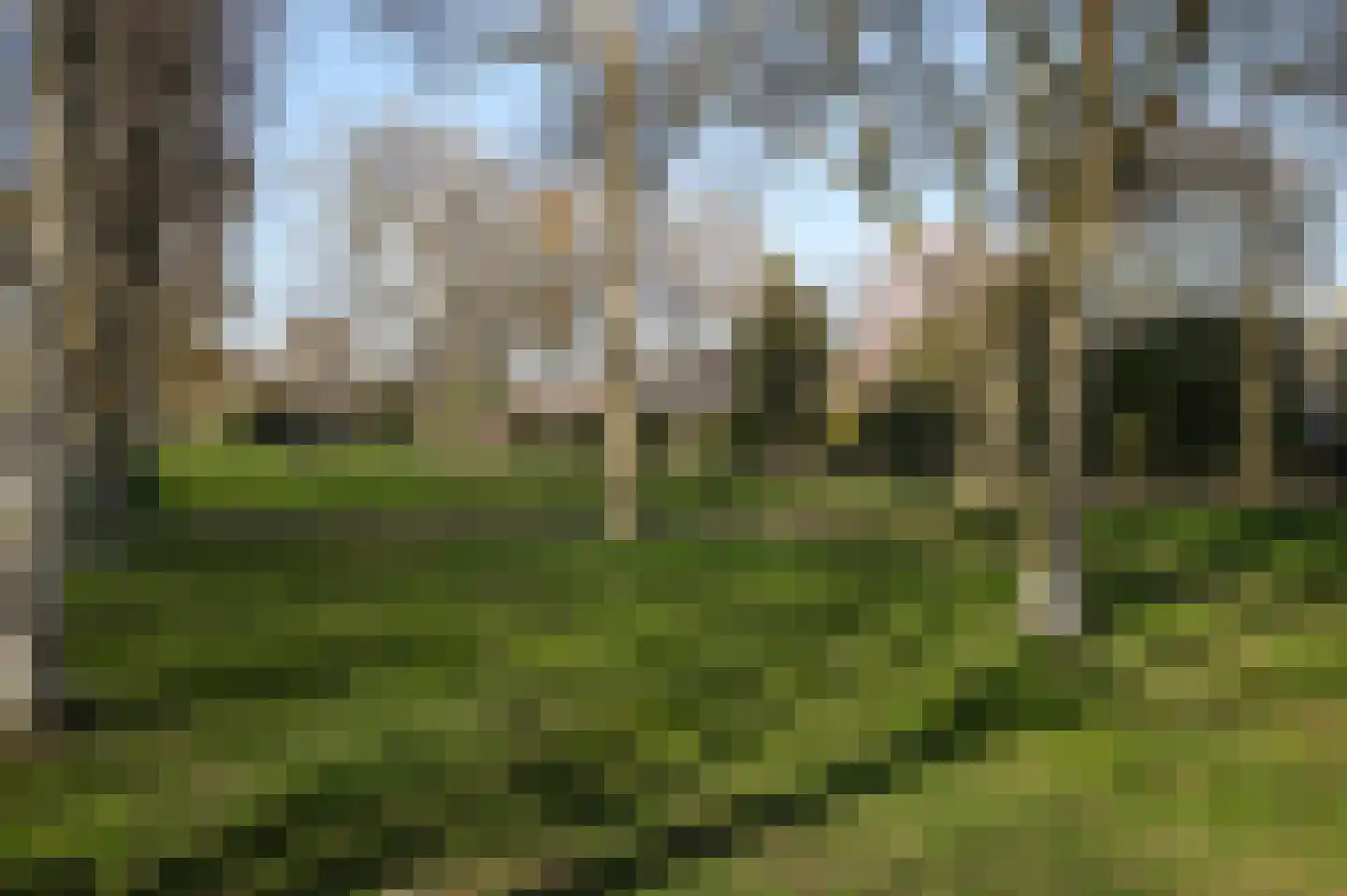 Eschweilerhof 5 Eindhoven thumbnail 41