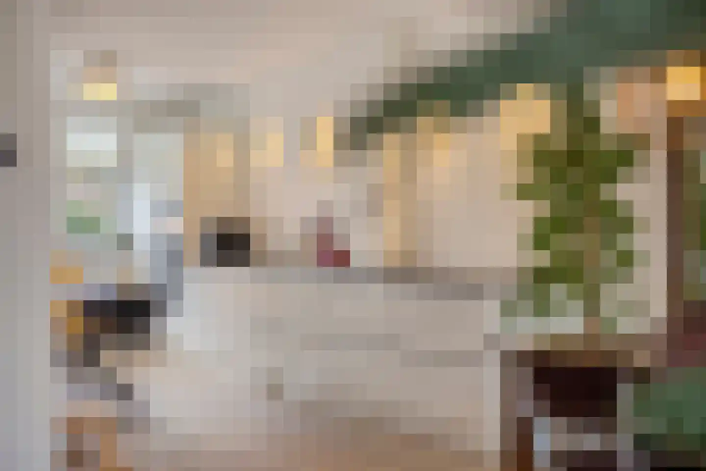 Eschweilerhof 51 Eindhoven thumbnail 19