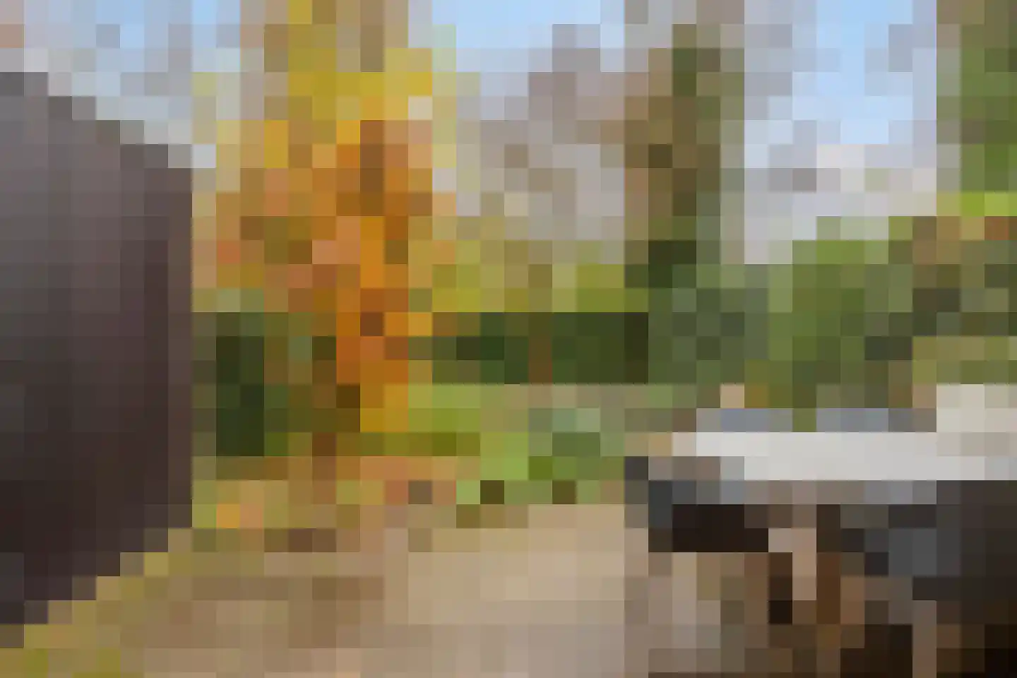 Eschweilerhof 51 Eindhoven thumbnail 5
