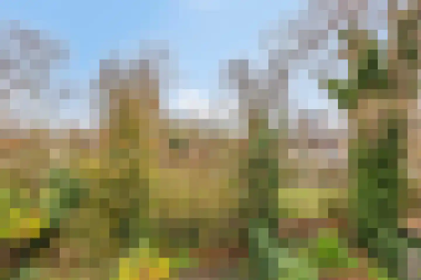 Eschweilerhof 51 Eindhoven thumbnail 51