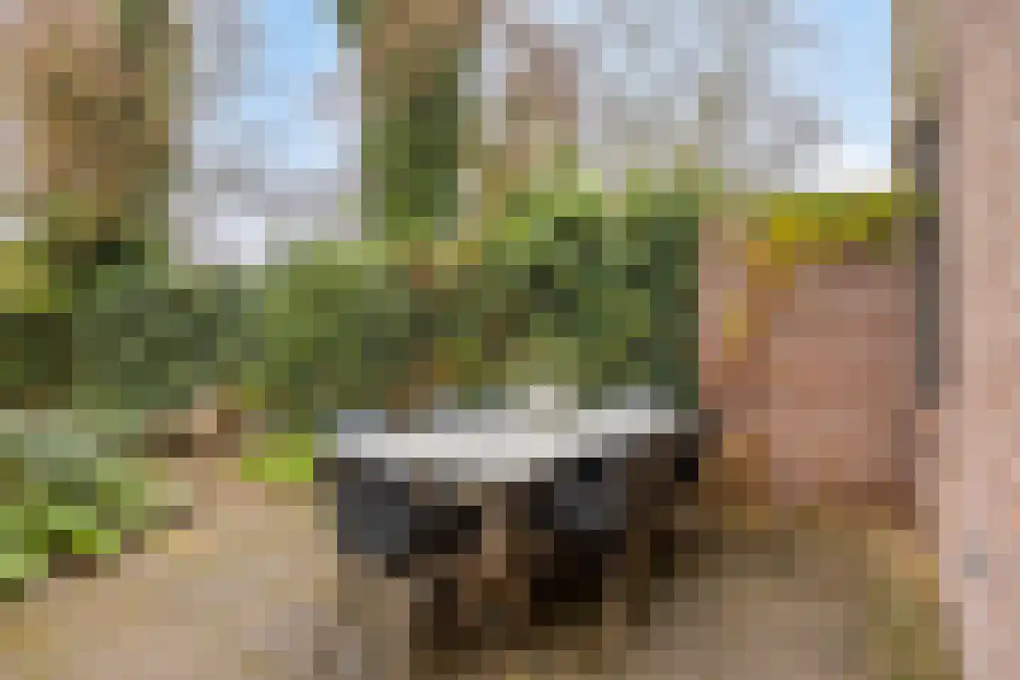 Eschweilerhof 51 Eindhoven thumbnail 53