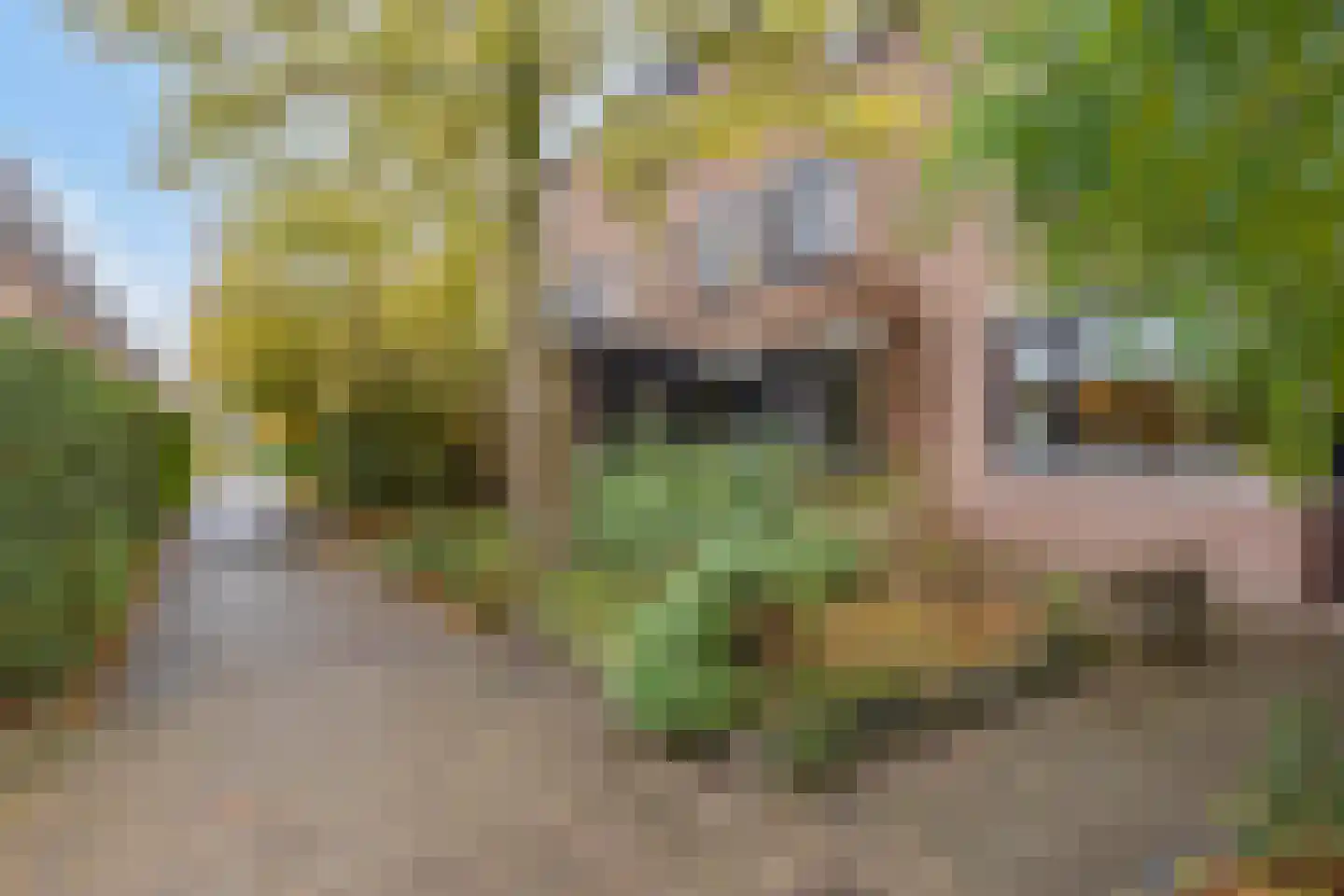 Eschweilerhof 51 Eindhoven thumbnail 56