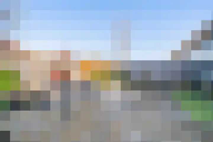 Escudo 105 Dronten thumbnail 28