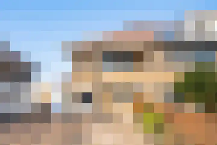 Escudo 105 Dronten thumbnail 7