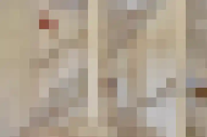 Escudo 34 Dronten thumbnail 17