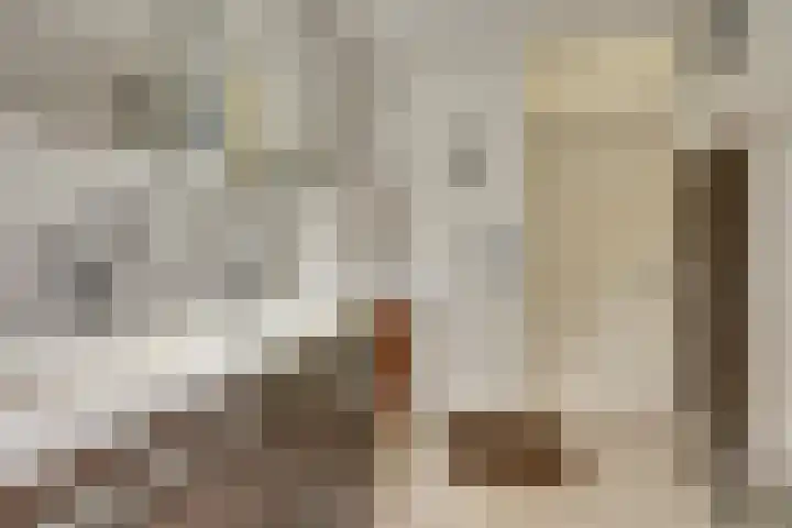 Escudo 34 Dronten thumbnail 25