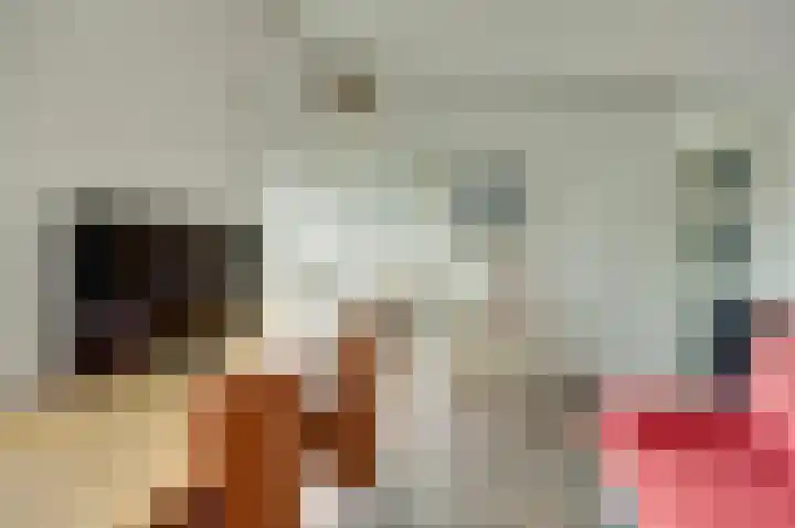 Escudo 34 Dronten thumbnail 28