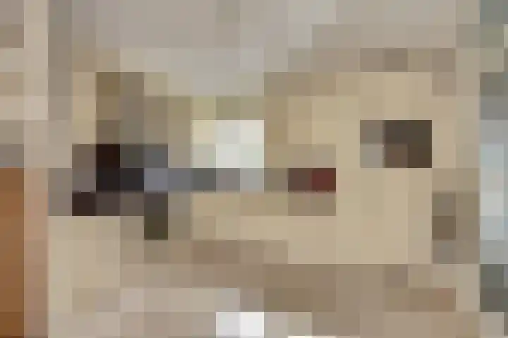 Escudo 34 Dronten foto 3