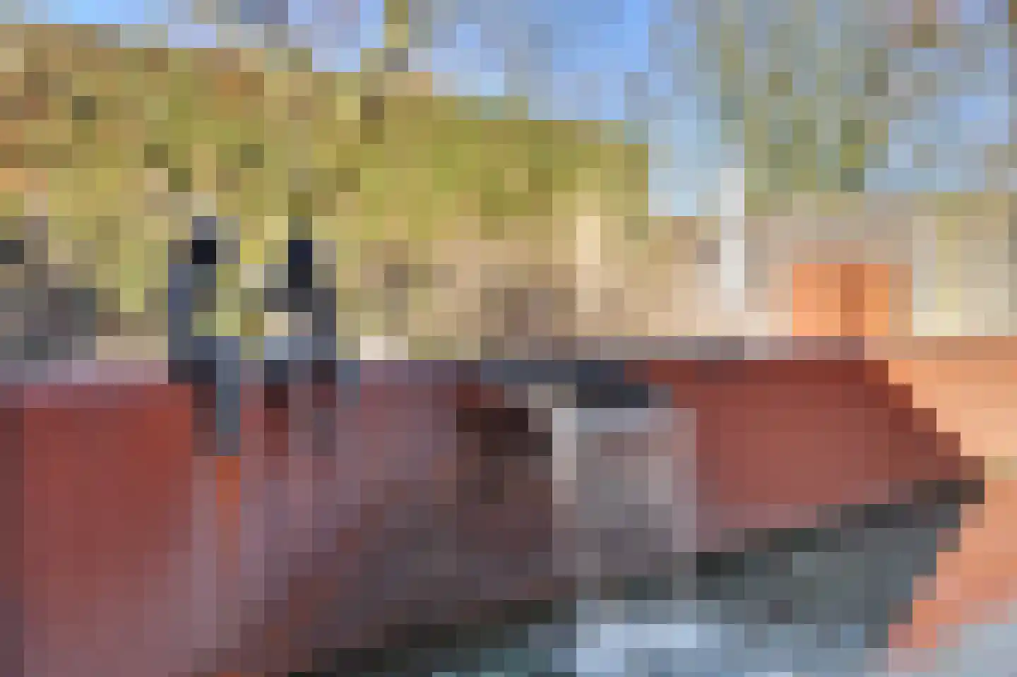 Escudo 34 Dronten thumbnail 33