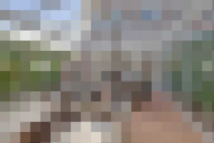 Escudo 34 Dronten thumbnail 36