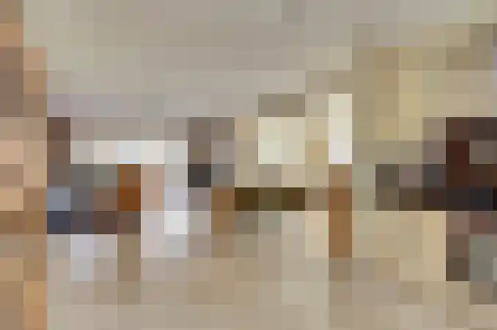 Escudo 34 Dronten thumbnail 4