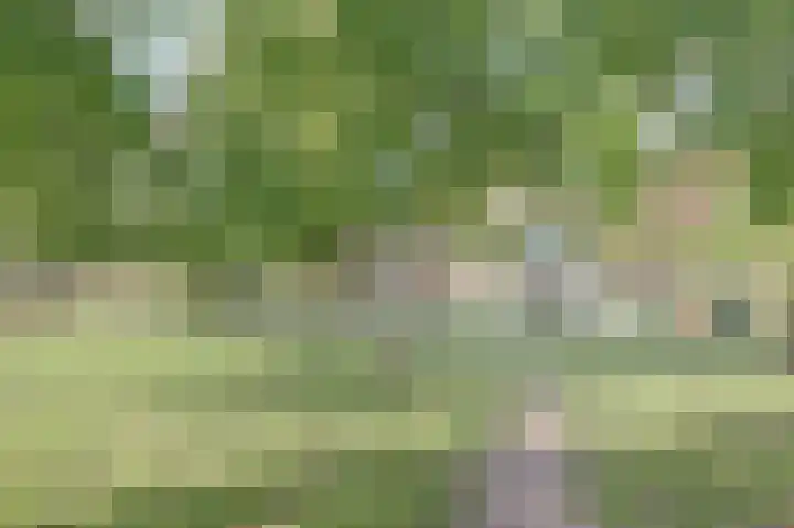 Escudo 34 Dronten thumbnail 41