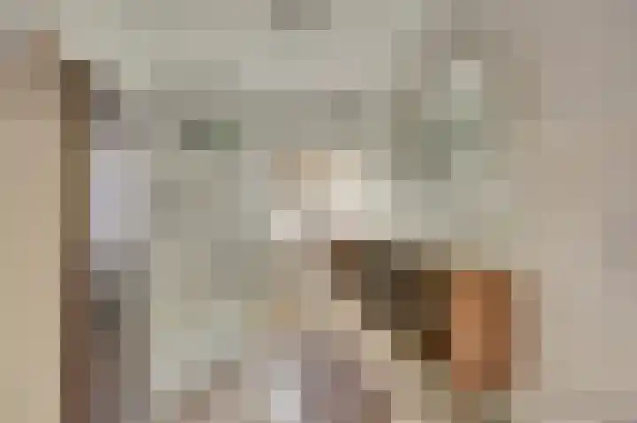 Escudo 34 Dronten thumbnail 5