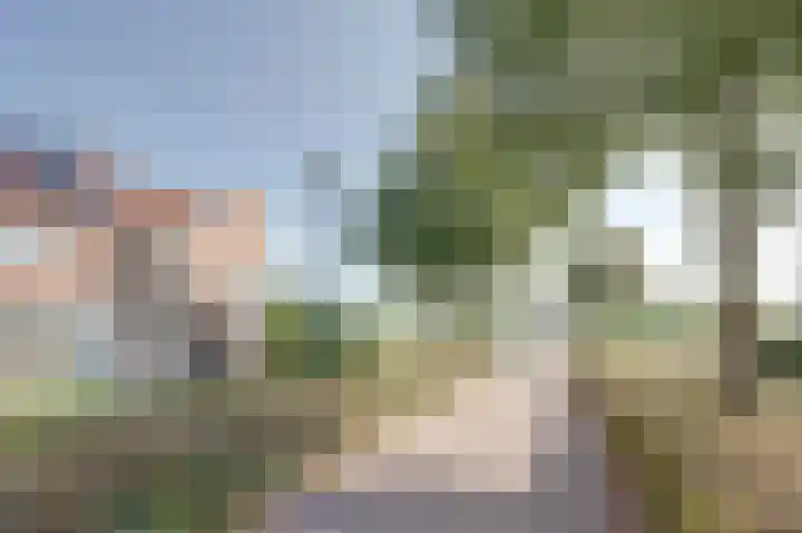 Escudo 34 Dronten thumbnail 6