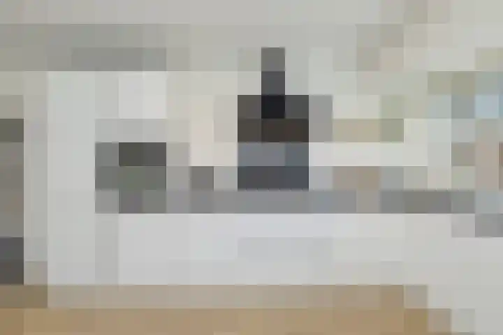 Escudo 47 Dronten thumbnail 13