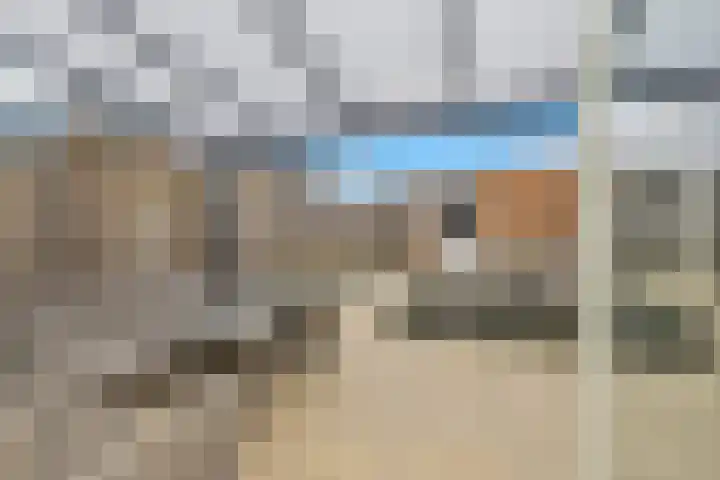 Escudo 47 Dronten thumbnail 34