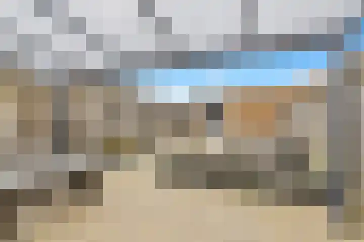 Escudo 47 Dronten thumbnail 35