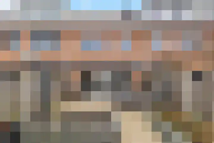 Escudo 47 Dronten thumbnail 36