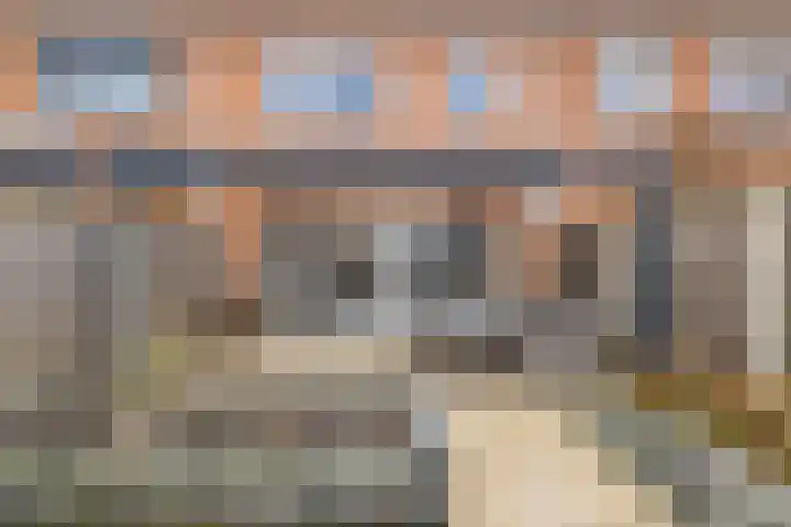 Escudo 47 Dronten thumbnail 37
