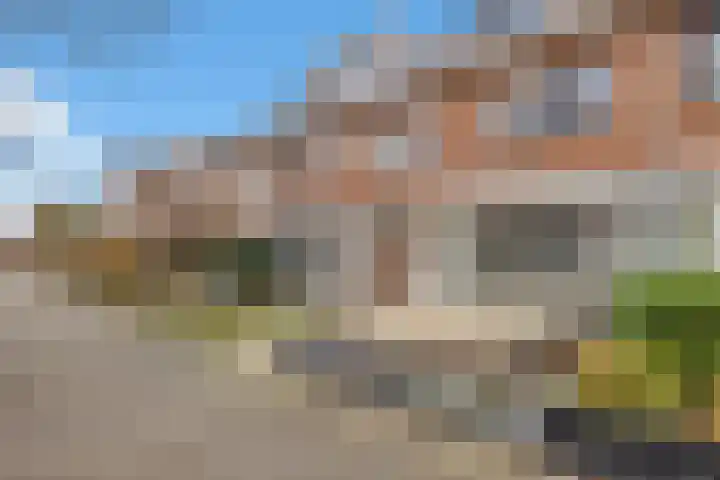 Escudo 47 Dronten thumbnail 4