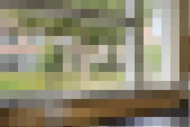 Escudo 49 Dronten thumbnail 10