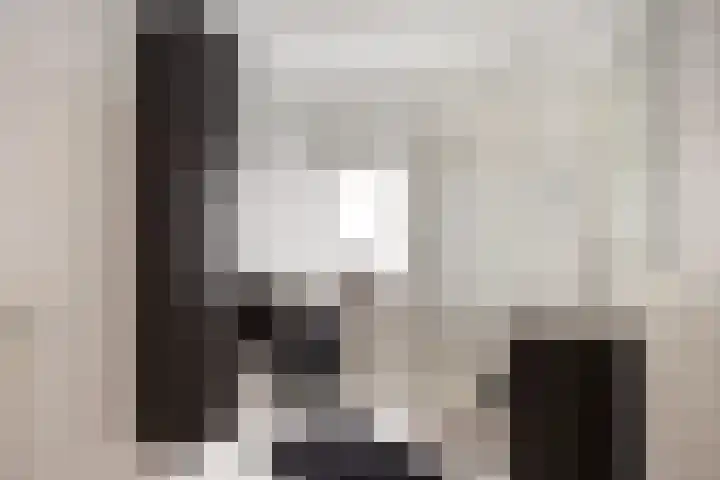 Escudo 49 Dronten foto 3