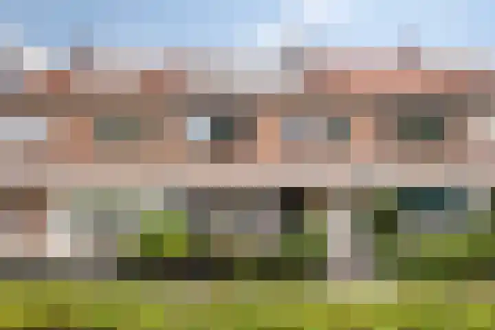 Escudo 49 Dronten thumbnail 30