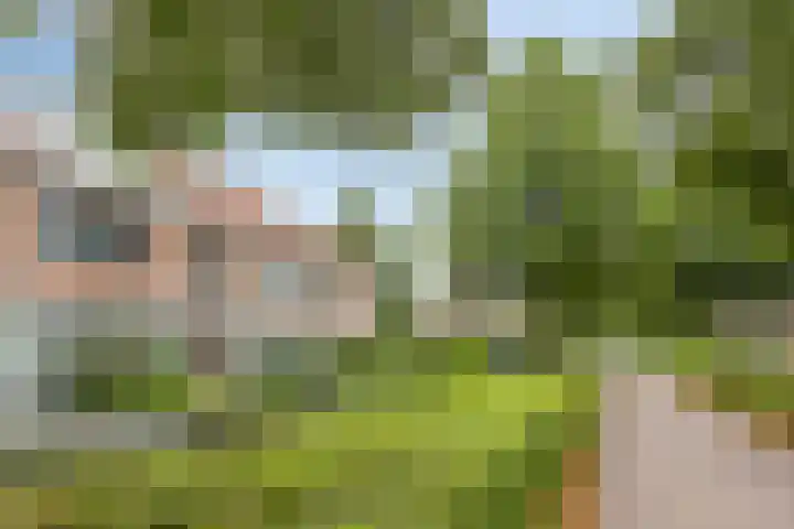 Escudo 49 Dronten thumbnail 31