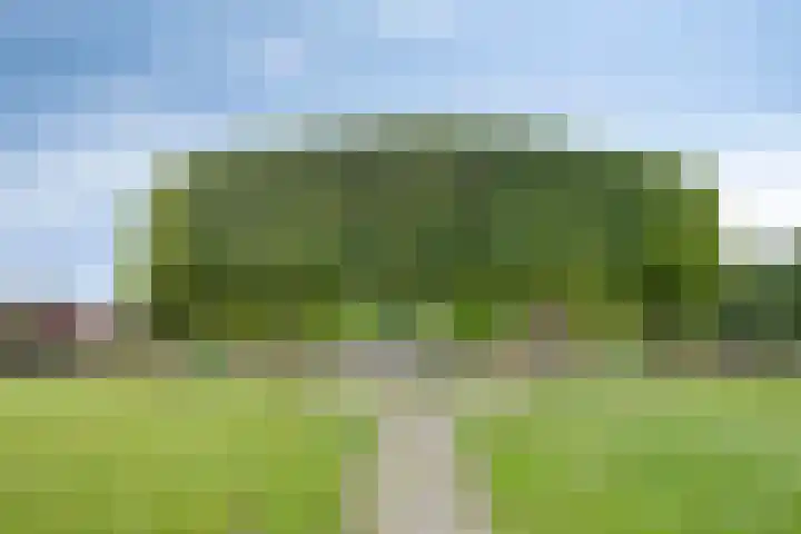 Escudo 49 Dronten thumbnail 34