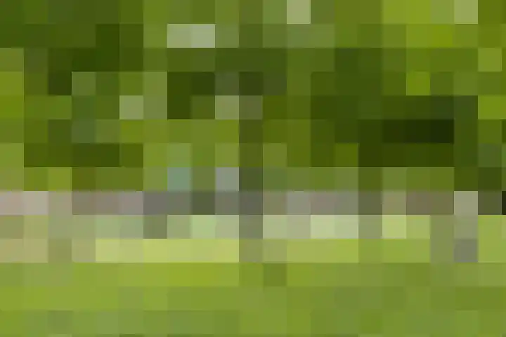 Escudo 49 Dronten thumbnail 35