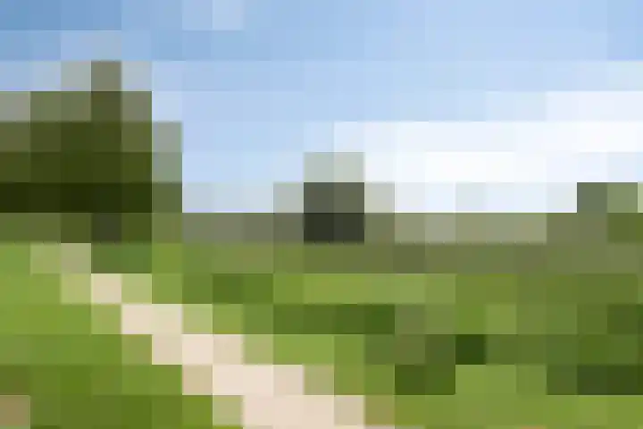 Escudo 49 Dronten thumbnail 36