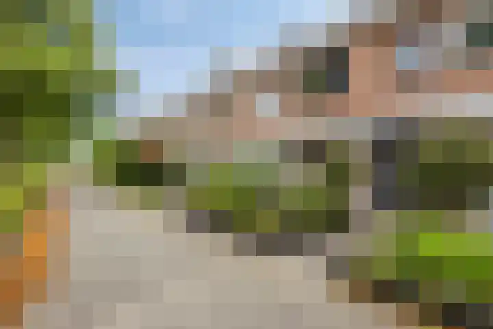 Escudo 49 Dronten thumbnail 4