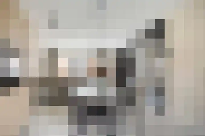 Escudo 49 Dronten thumbnail 6