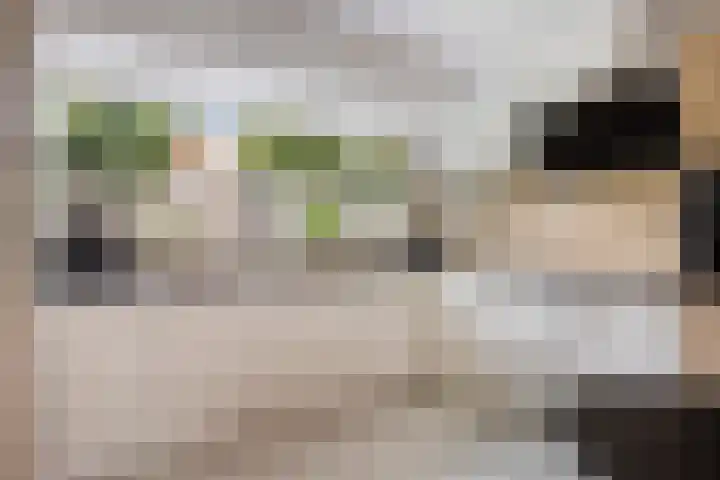 Escudo 49 Dronten thumbnail 7