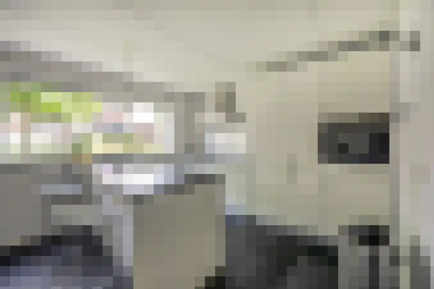 Escudo 7 Dronten thumbnail 14