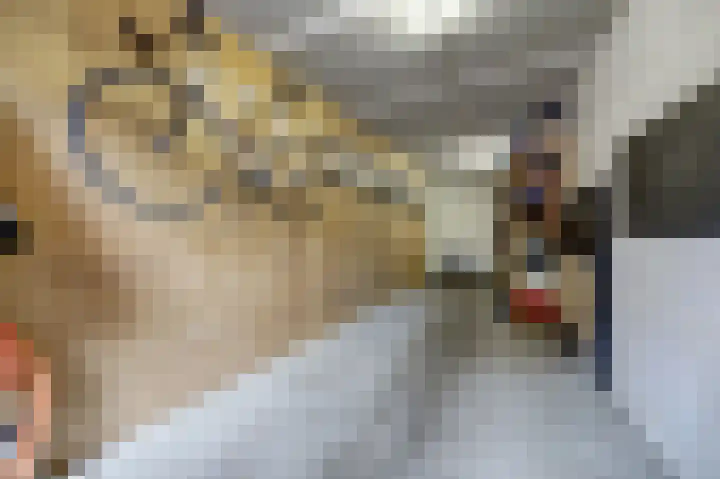 Escudo 7 Dronten thumbnail 27