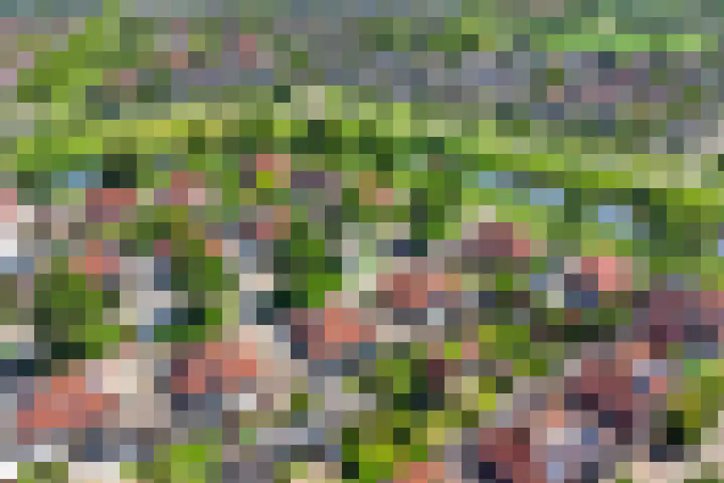 Escudo 7 Dronten thumbnail 33