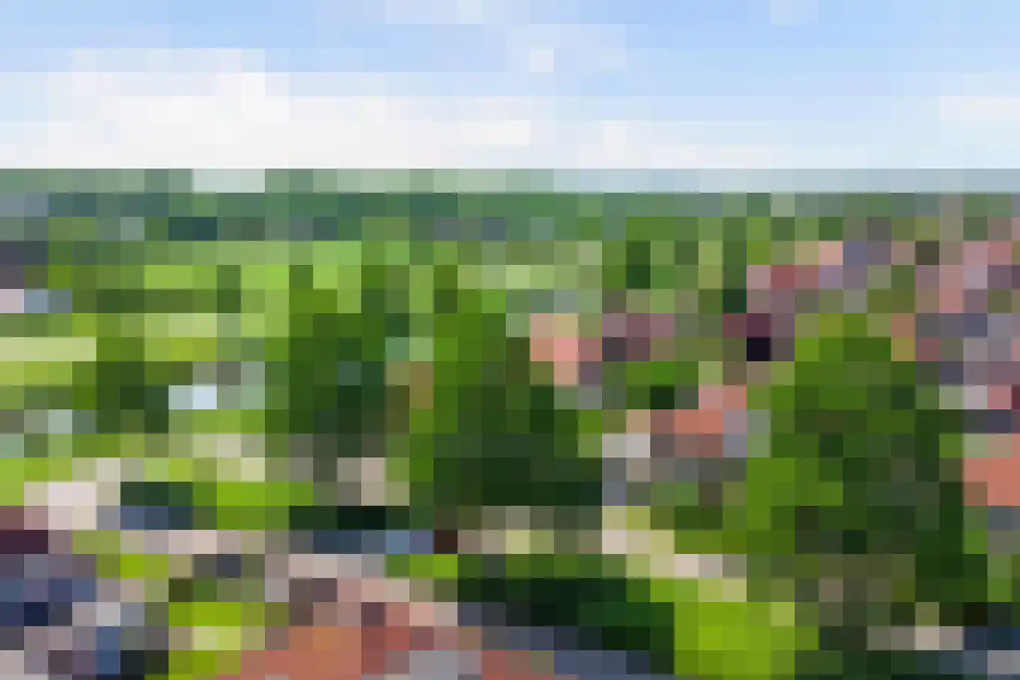 Escudo 7 Dronten thumbnail 35