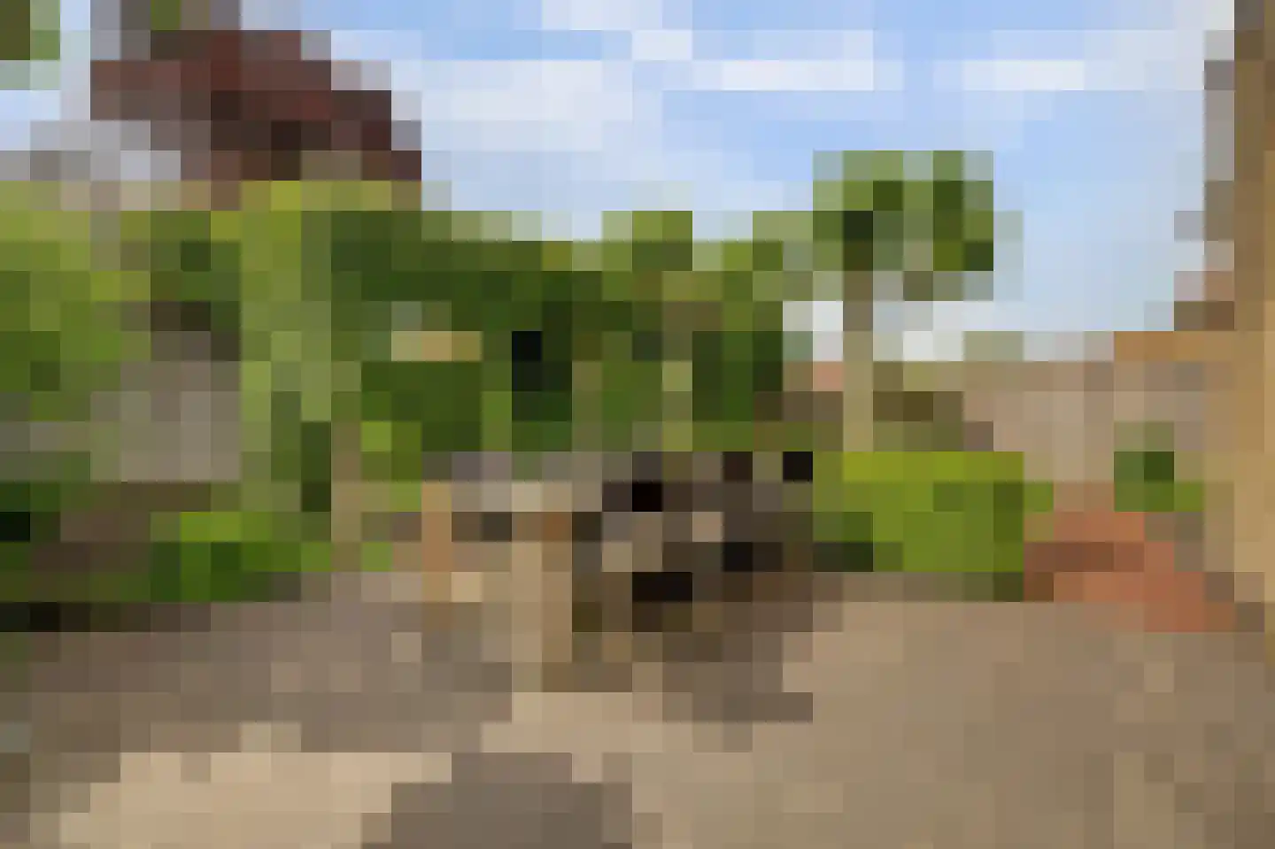 Escudo 7 Dronten thumbnail 4