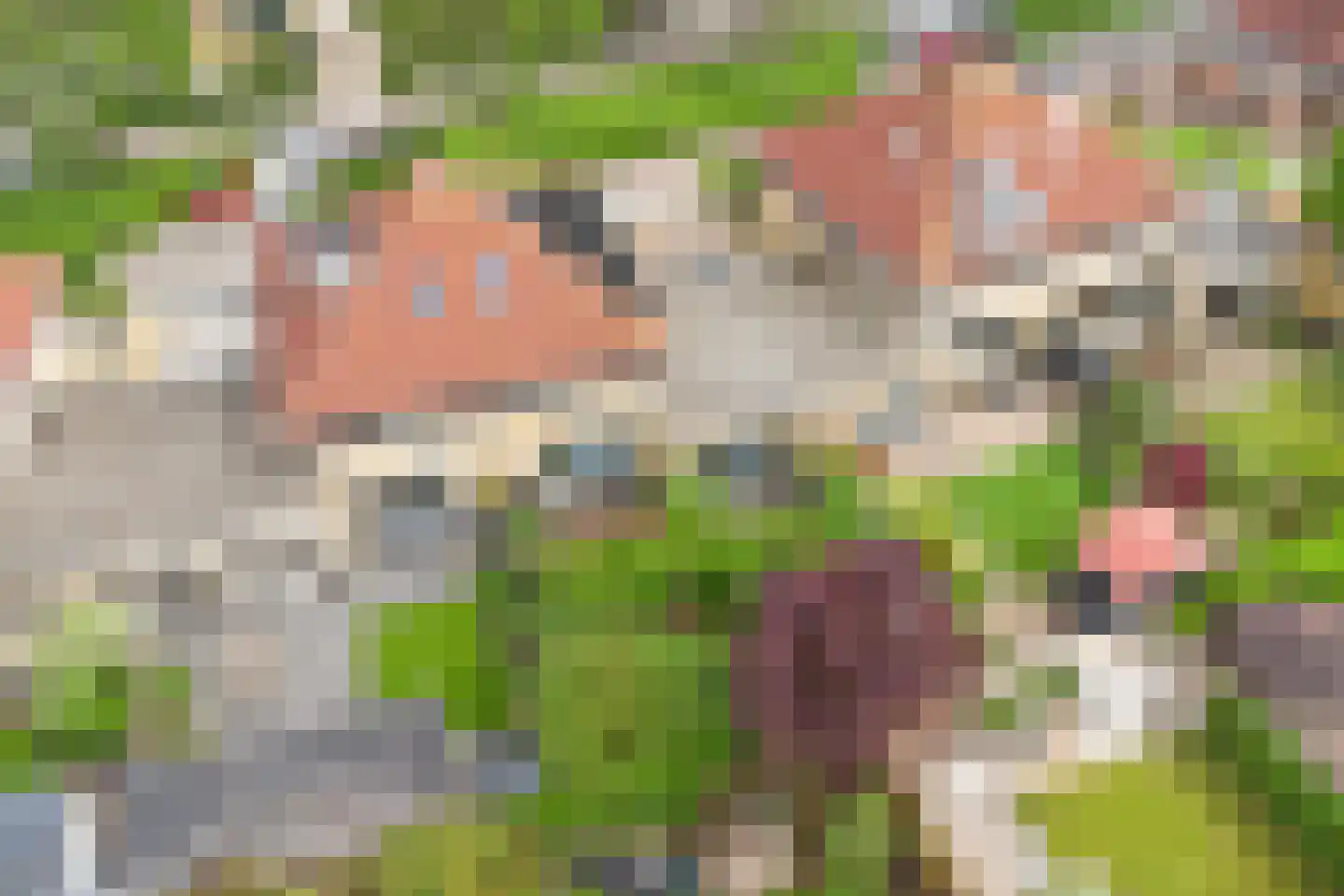 Escudo 7 Dronten thumbnail 5