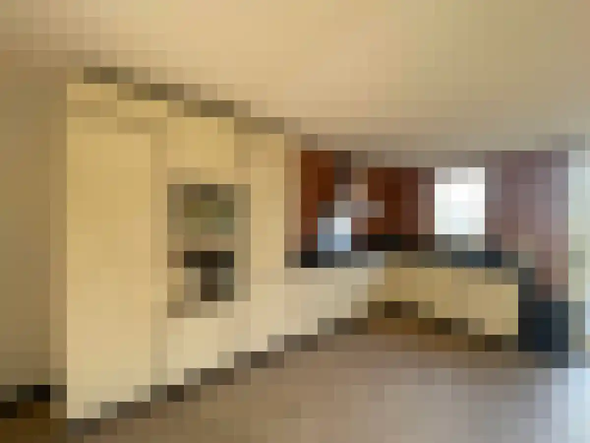 Escudohof 19 Valkenswaard thumbnail 6