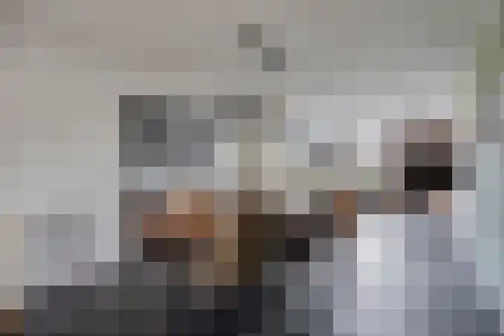 Escudohof 9 Valkenswaard thumbnail 12