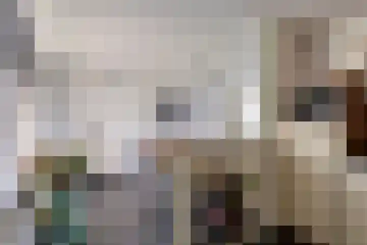 Escudohof 9 Valkenswaard thumbnail 13