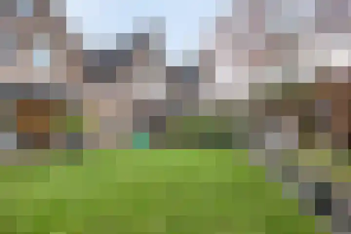 Escudohof 9 Valkenswaard thumbnail 22