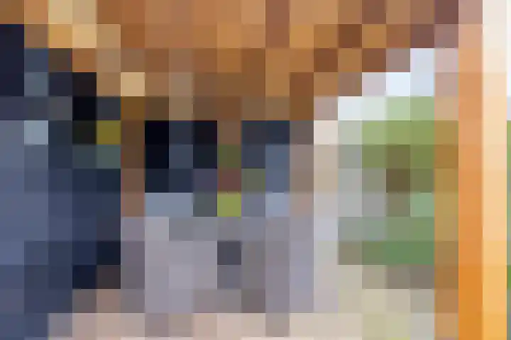 Escudohof 9 Valkenswaard thumbnail 24