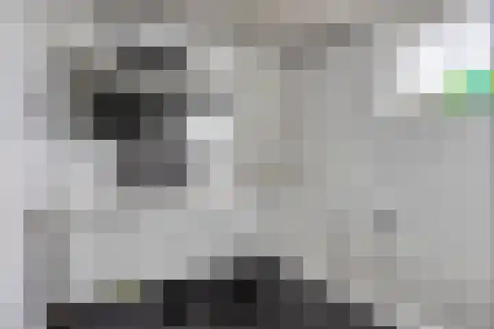Escudohof 9 Valkenswaard thumbnail 30